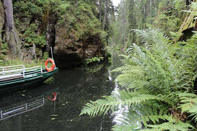 Landhotel Sennerhütte Gohrisch - Sächsischen Schweiz