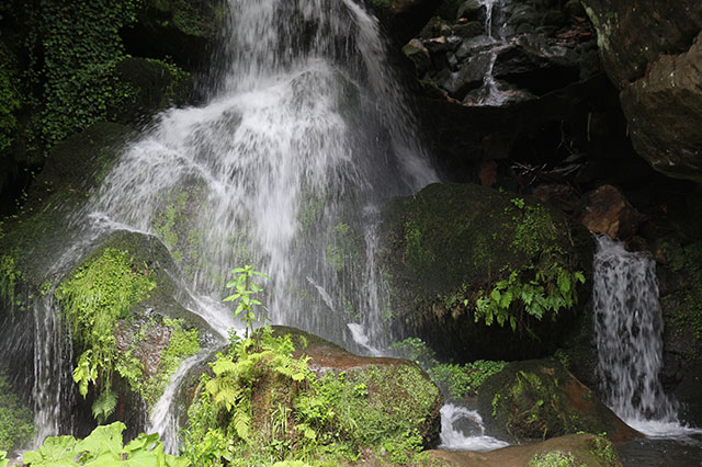Landhotel Sennerhütte Gohrisch - Sächsischen Schweiz